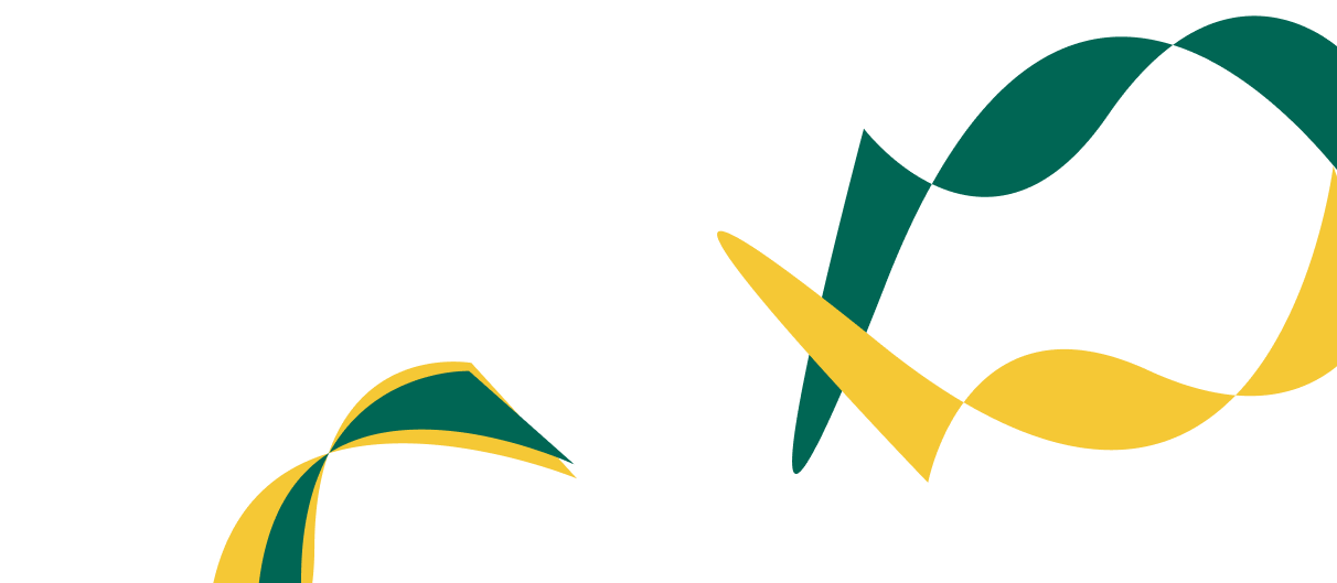 Expert Solutions for Corporate  Financial Success. - 世界杯在线